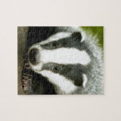 Badger - Atemberaubend pro Foto! Puzzle (Horizontal)