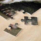 Badger - Atemberaubend pro Foto! Puzzle (Seite)