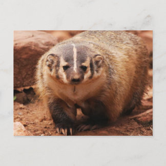 Badger Feiertagspostkarte