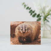 Badger Feiertagspostkarte (Stehend Vorderseite)