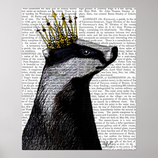 Badger King Poster (Vorne)