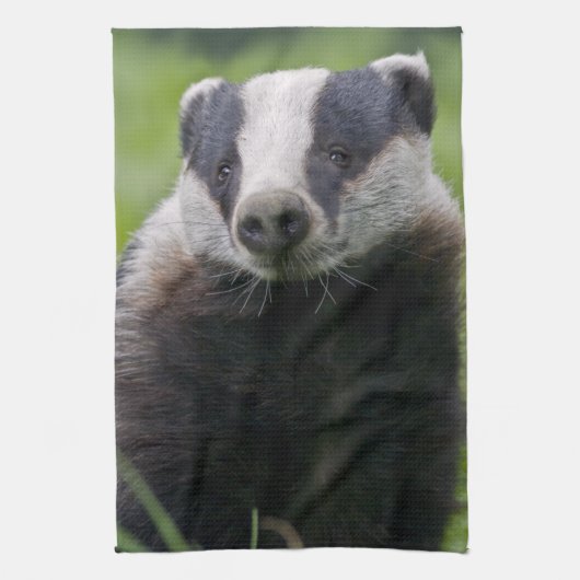 Badger Küchentücher (Vertikal)