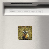 Badger Magnet (In Situ (Geschirrspüler))
