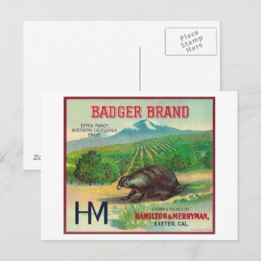 Badger Orange LabelExeter, CA Postkarte (Vorne/Hinten)