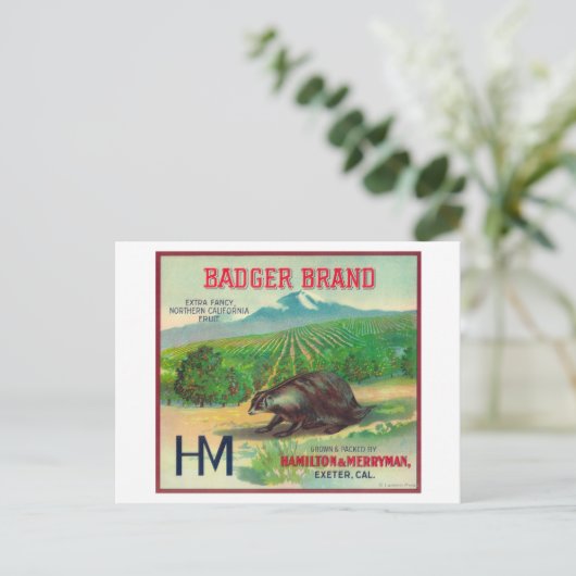 Badger Orange LabelExeter, CA Postkarte (Stehend Vorderseite)