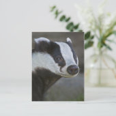Badger Portrait Postkarte (Stehend Vorderseite)