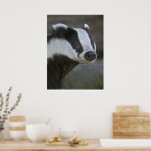 Badger Portrait Print Poster (Küche)
