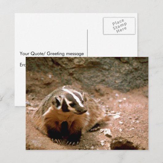 Badger Postkarte (Vorne/Hinten)