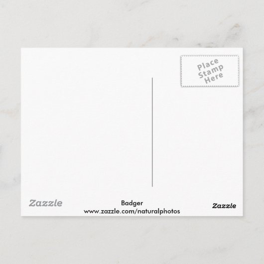 Badger Walking Postcard Postkarte (Rückseite)