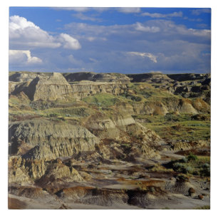 Badlands-Formationen im Dinosaur Provincial Park 4 Fliese