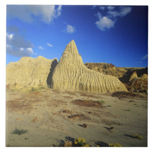 Badlands-Formationen im Dinosaur Provincial Park 7 Fliese