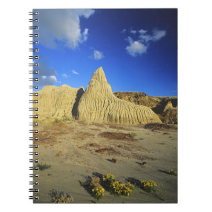 Badlands-Formationen im Dinosaur Provincial Park 7 Notizblock