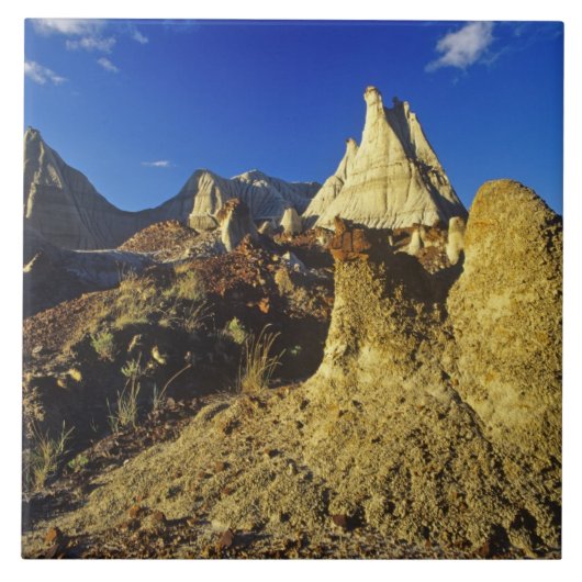 Badlands-Formationen im Provinzialpark Dinosaur 2 Fliese (Vorderseite)