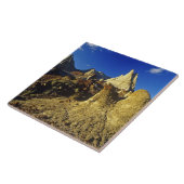 Badlands-Formationen im Provinzialpark Dinosaur 2 Fliese (Seite)