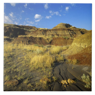 Badlands im Dinosaur Provincial Park in Alberta, Fliese