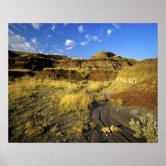 Badlands im Dinosaur Provincial Park in Alberta, Poster (Vorne)