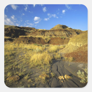 Badlands im Dinosaur Provincial Park in Alberta, Quadratischer Aufkleber