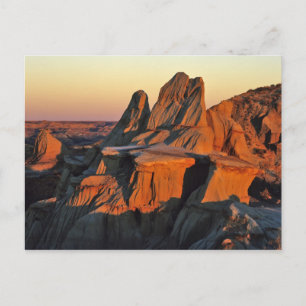 Badlands im Nationalpark Theodore Roosevelt Postkarte