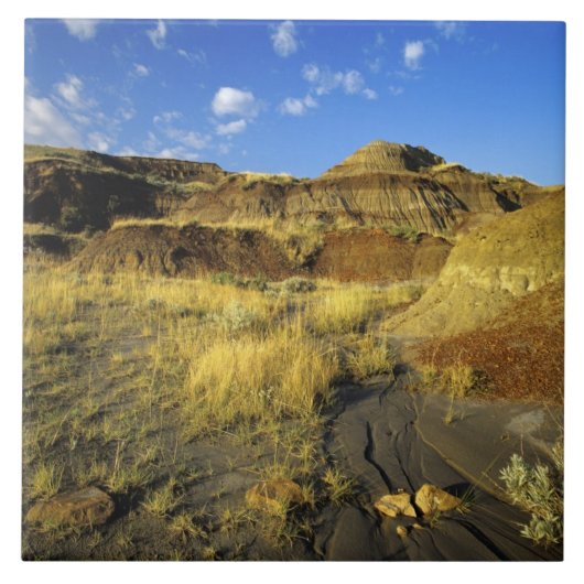 Badlands im Provinzialpark Dinosaur in Alberta, Fliese (Vorderseite)