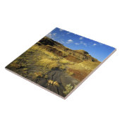 Badlands im Provinzialpark Dinosaur in Alberta, Fliese (Seite)