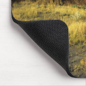 Badlands im Provinzialpark Dinosaur in Alberta, Mousepad (Ecke)