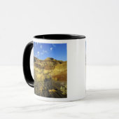 Badlands im Provinzialpark Dinosaur in Alberta, Tasse (Vorderseite Links)