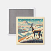 Badlands National Park Winter Souvenir Geschenk Magnet (Vorderseite/Rückseite)