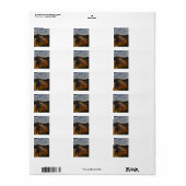 Badlands-Nationalpark Adressaufkleber (Vorne)