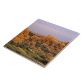 Badlands-Nationalpark in Süddakota Fliese (Seite)