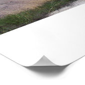 Badlands-Nationalpark Poster (Ecke)