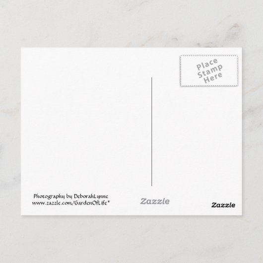 Badlands Postkarte (Rückseite)