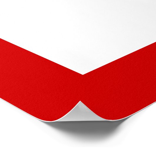 Badminton-Geschenke, Schläger und Shuttlecck-Brauc Poster (Ecke)