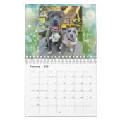BADRAP Rescue Barn 2021 Kalender (Feb 2027)