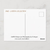 BAE-CATION #1 Postkarte (Rückseite)