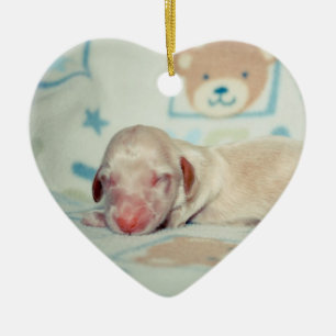 Bae Neugeborenes-Lovebugdoxies Welpenandenken Keramikornament