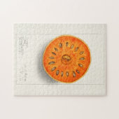 Bael (Aegle Marmelos) Fruchtfarben Puzzle (Horizontal)