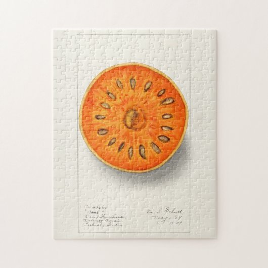 Bael (Aegle Marmelos) Fruchtfarben Puzzle (Vertikal)