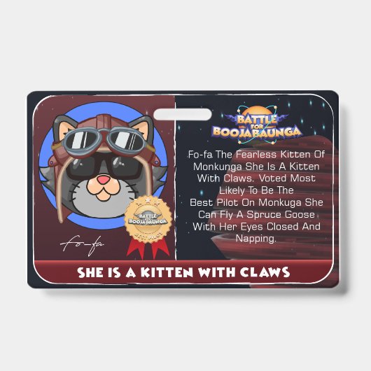 BAF FoFA Ausweis (Vorderseite)