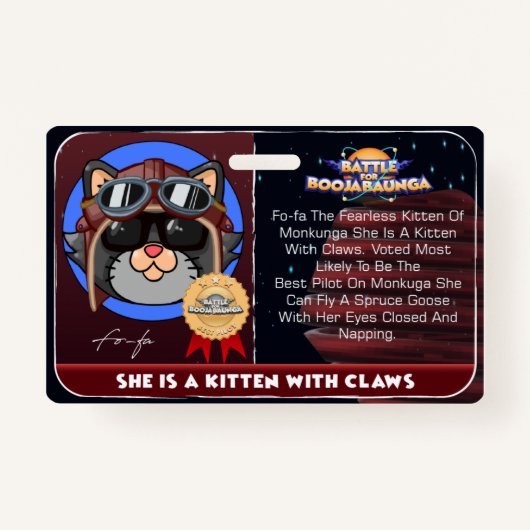 BAF FoFA Ausweis (Vorderseite)