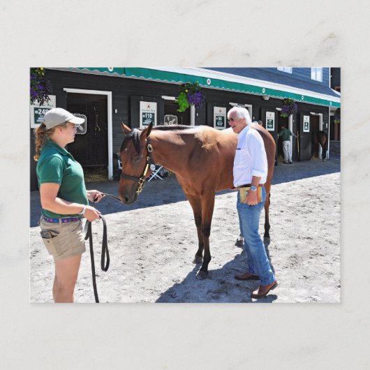 Baffert Checking under the Hood Postkarte (Vorderseite)