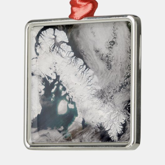 Baffin Island Silbernes Ornament (Links)