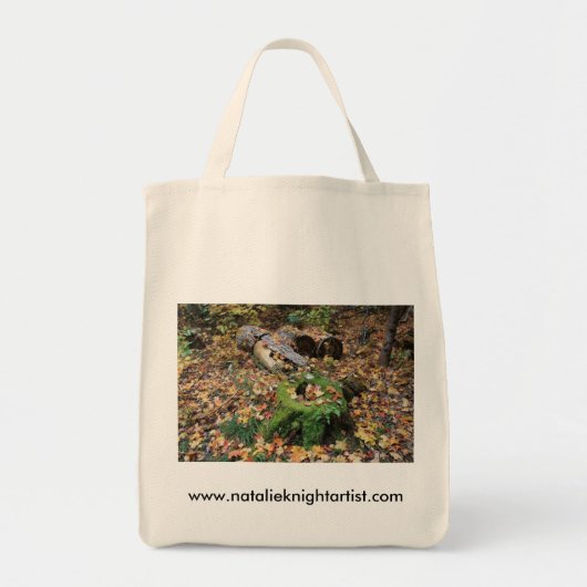 Bag2 Tragetasche (Vorne)
