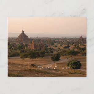 Bagan an der Dämmerungs-Postkarte Postkarte