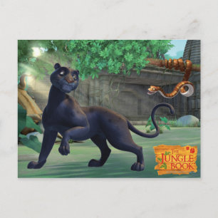 Bagheera 3 postkarte
