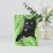 Bagheera, die schwarze Katze Postkarte (Stehend Vorderseite)
