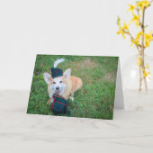 Bagpipe Corgi Blankokarte Karte (Gelbe Blume)