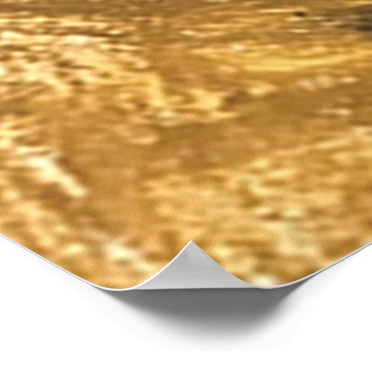 Bagpiper Poster (Ecke)