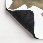 Bagre-sapo Mousepad (Ecke)