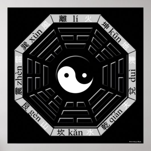 Bagua Poster (Vorne)