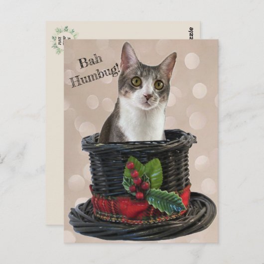 Bah Humbag Tito Die Katze Postkarte (Vorne/Hinten)